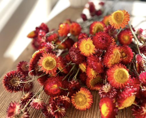 All Flower Stems at Fleuri Flowers