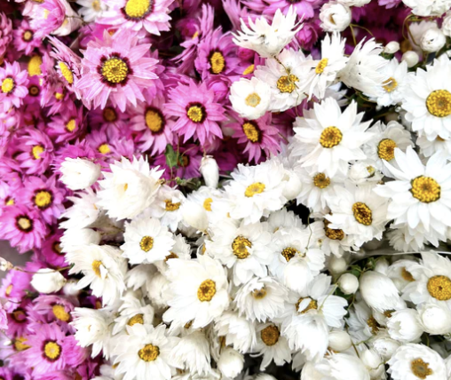 Flowers & Little Flowers at Fleuri Flowers